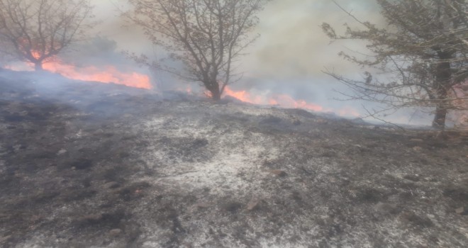 Makilik Alanda Yangın Çıktı