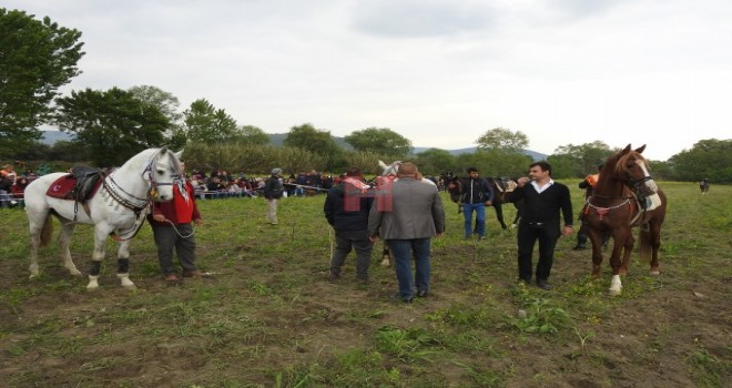 Soma'da Atlı Sporlar Derneği Gösteri Yaptı