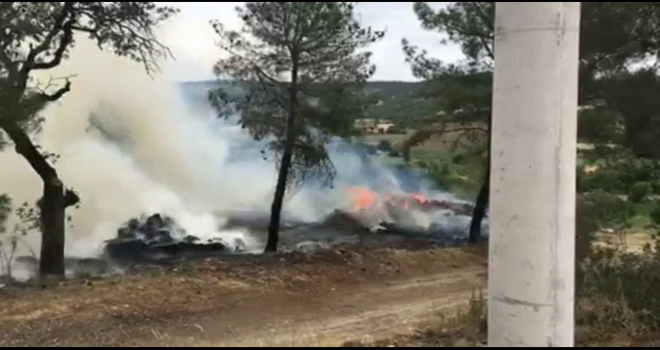 Ot yangını Korkuttu.