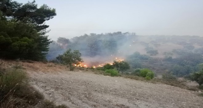 Ciğerlerimiz Yandı