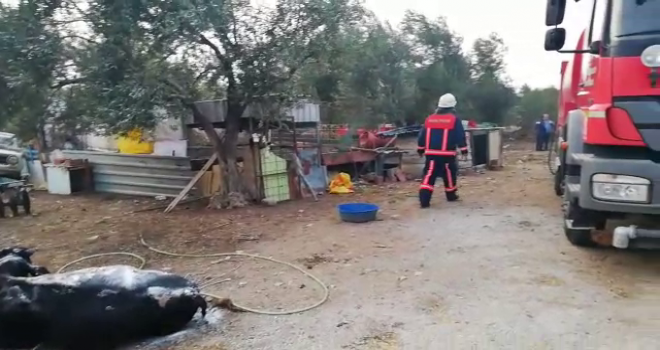 Somanın Çerkez Hamidiye Mahallesinde Dam Yandı