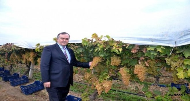 Alaşehir’den yapılan 385 bin ton ihracatın 232 bin tonu Rusya’ya yapılmıştır