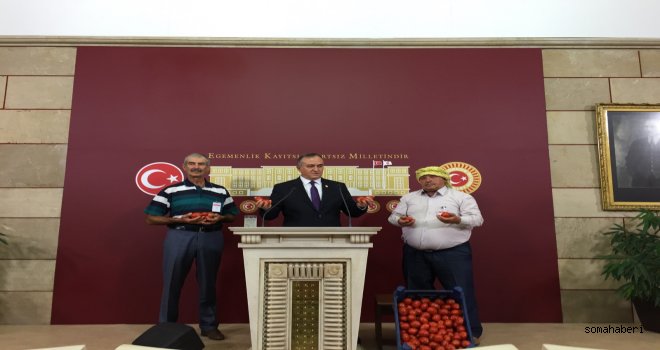 DOMATES İÇİN MECLİSTE BASIN TOPLANTISI YAPTI