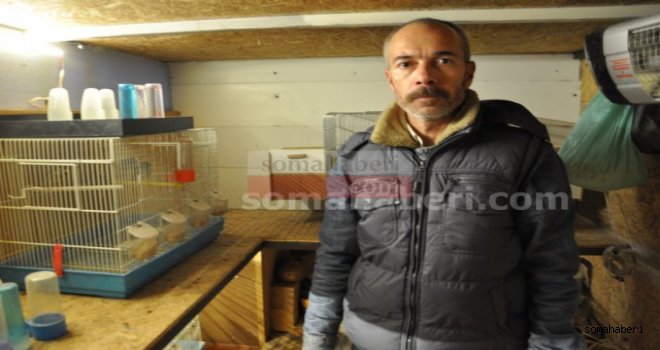 Evinin Çatısında Kuş Üretiyor