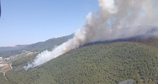 Soma'daki Yangında 6 Hektar Orman Zarar Gördü