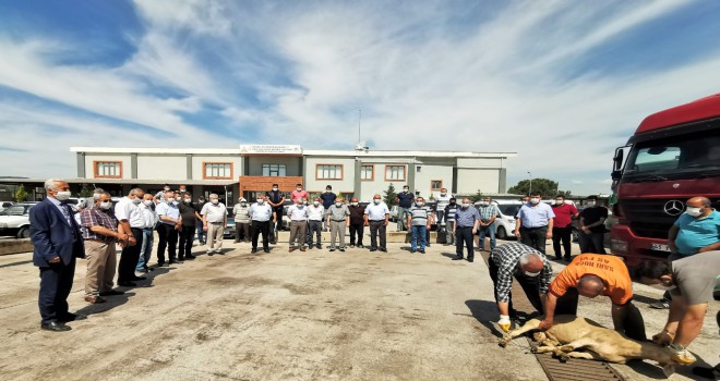 Soma Nakliyeciler ve Motorlu Taşıyıcılar Kooperatifi Biz Kömürü Taşımaya Hazırız Dedi