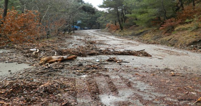 KOZLUÖREN YOLU İLGİ BEKLİYOR