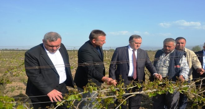 Manisa Türk Tarımının Lokomotifidir