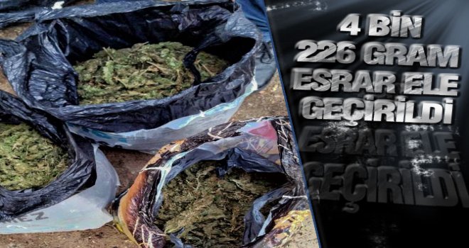 Manisa'da 4226 Gram Esrar Yakalandı.