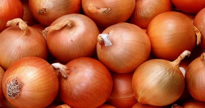 Soğanın Mucuzeleri