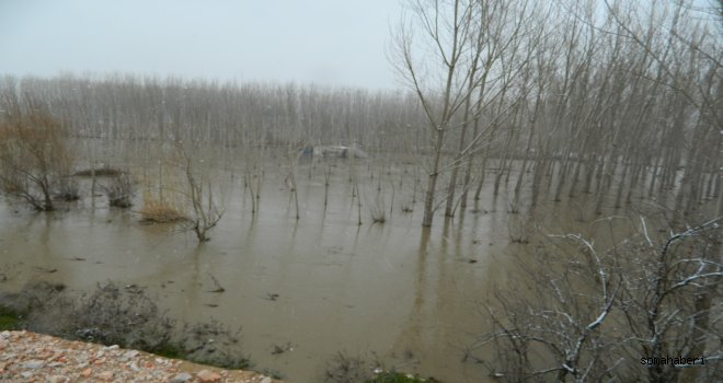 Somada Her Yağışta Aynı Olmasın