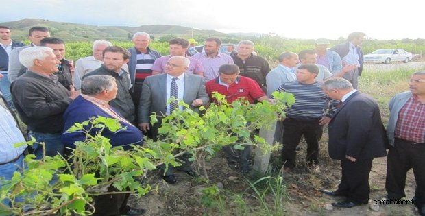 Zarar Gören Çiftçilerin Zararlarının Karşılanmasını Borçlarının ertelenmesini istedi